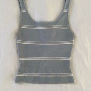 Aritzia Light Blue and White Striped Tank Top